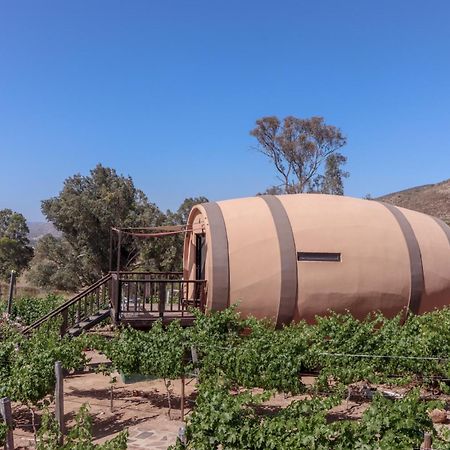 Finca El Mirador Valle de Guadalupe Exterior foto
