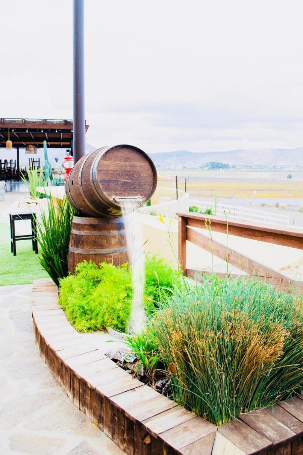 Finca El Mirador Valle de Guadalupe Exterior foto