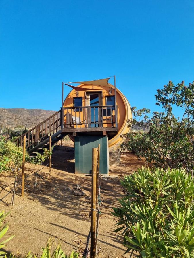 Finca El Mirador Valle de Guadalupe Exterior foto