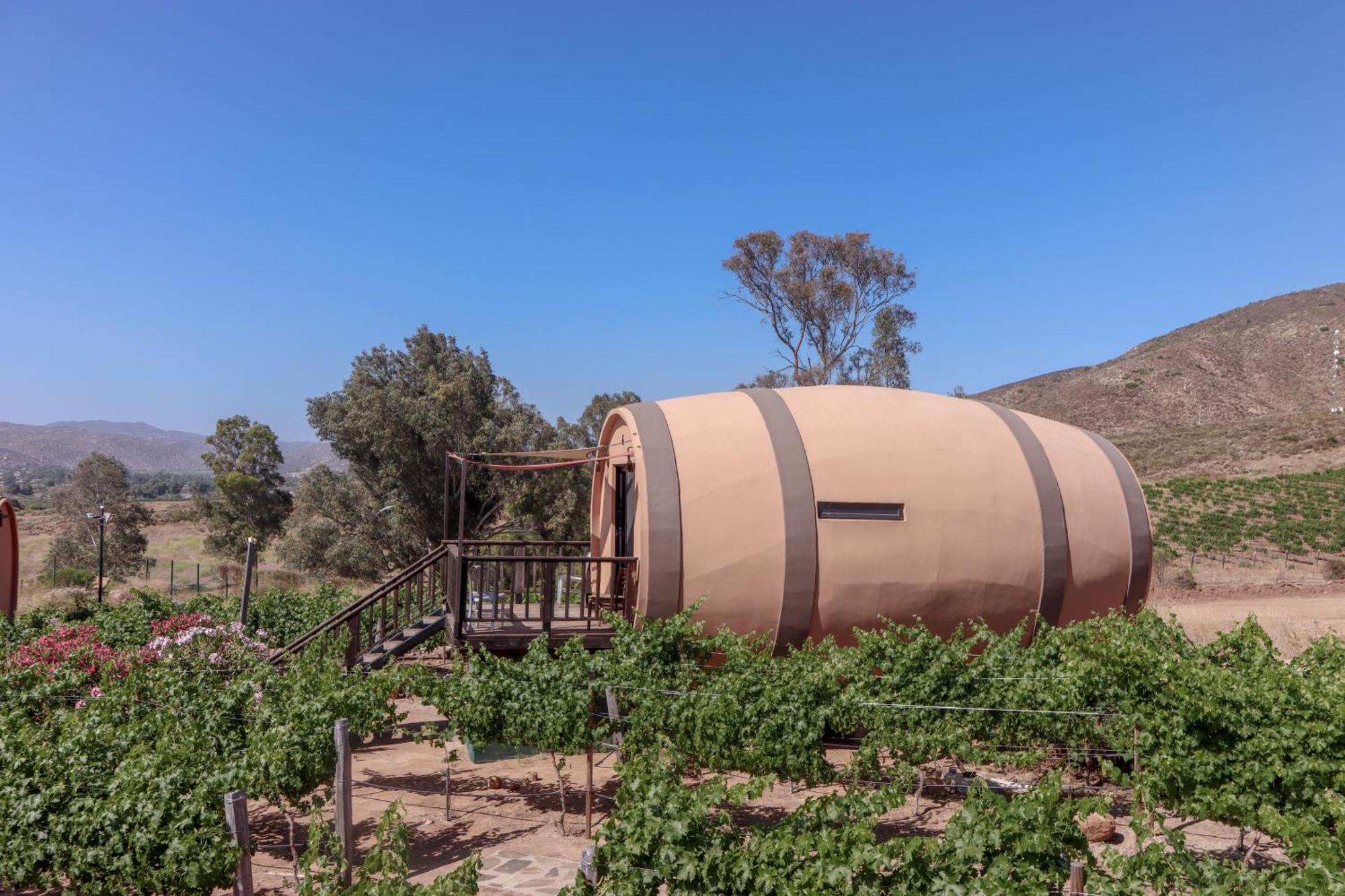 Finca El Mirador Valle de Guadalupe Exterior foto